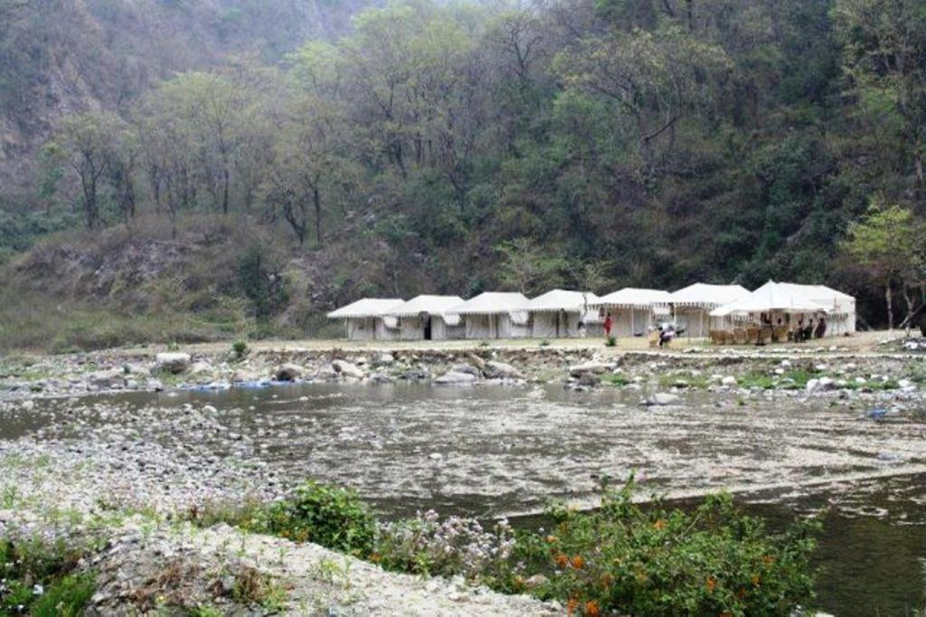 Elephant Brook Resort Risikés Kültér fotó